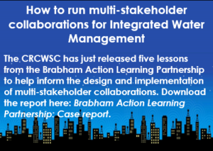Brabham Action Learning Partnership information logo