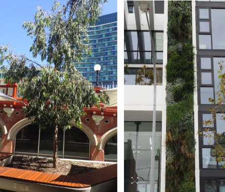 Screenshot 2024-03-12 at 10.02.59 am