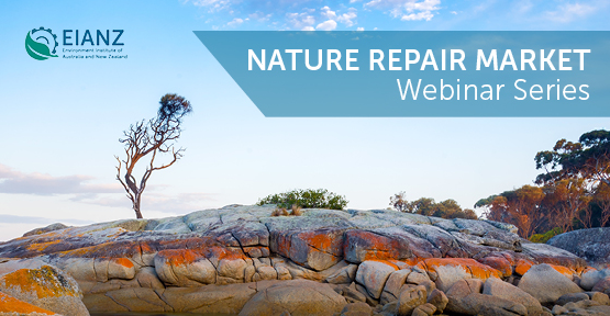 Nature Repair Market webinar series | Webinar 2: PLANR and Practical Tools: Hands-on guidance on the platforms and tools supporting participation