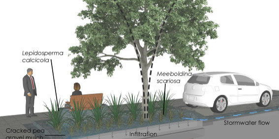 4.-KS-Raingarden-Diagram