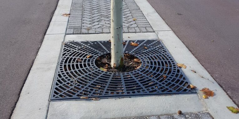 68882523_473373180181250_3107129545522675712_n