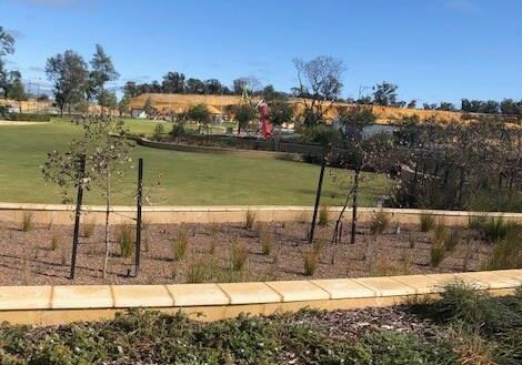 Candela-Pwy-Brightwood-Estate