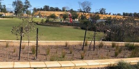 Candela-Pwy-Brightwood-Estate