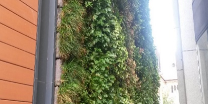 City of Perth Library