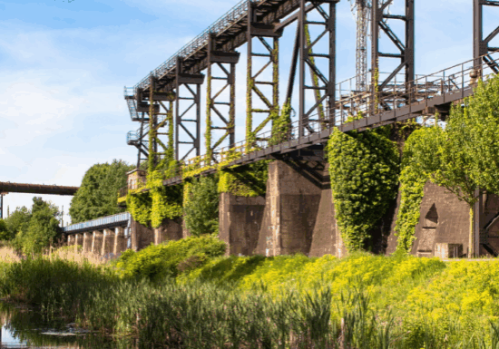 It was filthy and stank terribly