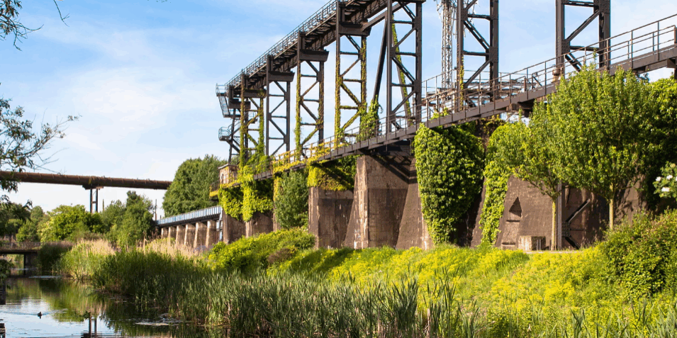 It was filthy and stank terribly