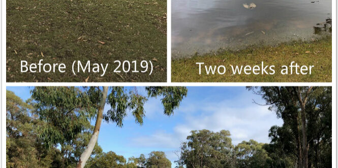 Lyndhurst-Place-Lake