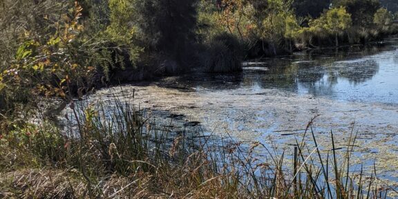 PXL_20221014_234156799