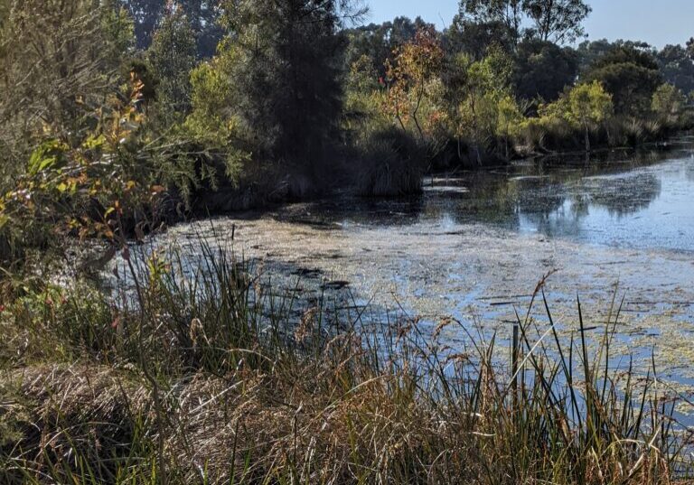 PXL_20221014_234156799