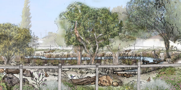 Peters-Place-Artist-Impression