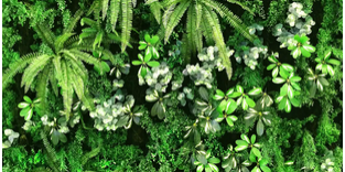 Screenshot 2021-03-18 152555