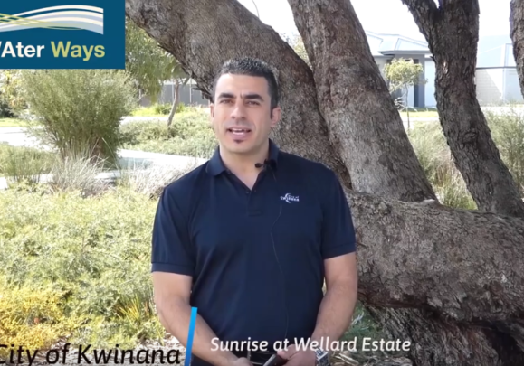 Screenshot 2021-04-29 123325