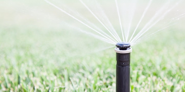 Screenshot 2021-05-28 163233