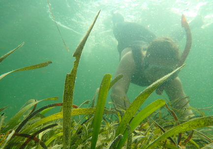 Screenshot 2021-07-23 092733