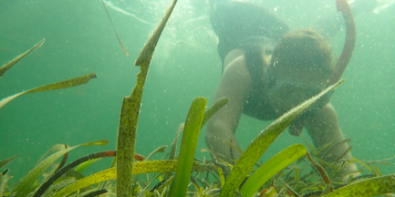 Screenshot 2021-07-23 092733