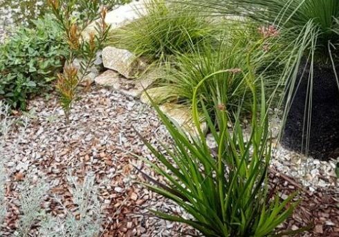 Screenshot 2023-07-31 105926