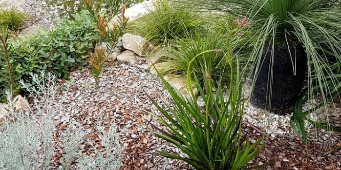 Screenshot 2023-07-31 105926