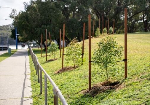 Screenshot 2023-12-22 092245