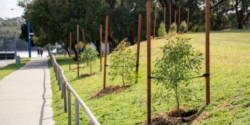 Screenshot 2023-12-22 092245