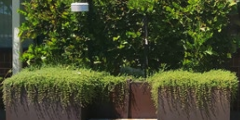 Screenshot 2024-03-12 at 9.39.14 am