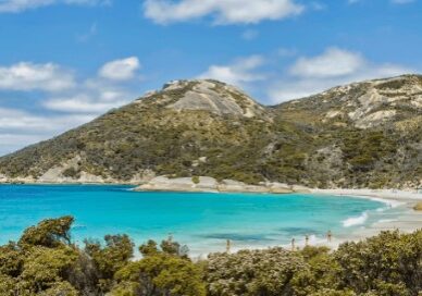 Screenshot 2025-01-08 111307