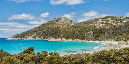 Screenshot 2025-01-08 111307