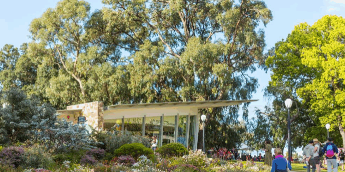 Screenshot 2025-05-29 084422