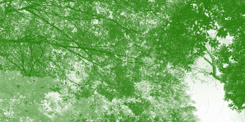 Screenshot 2025-05-29 112216