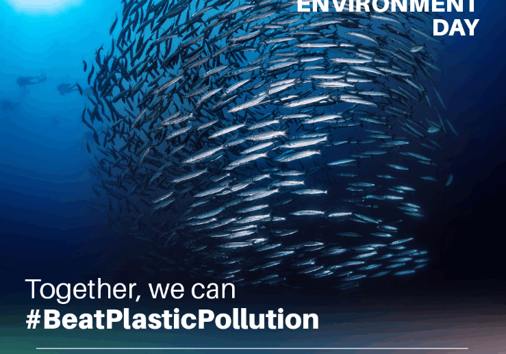 Screenshot 2025-06-05 120958