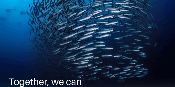 Screenshot 2025-06-05 120958