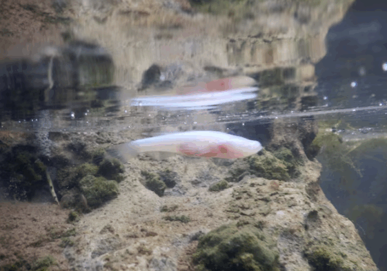 Exmouth water review