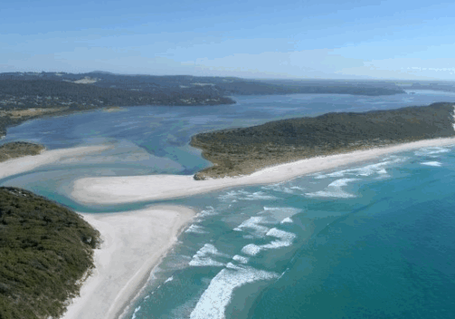 Screenshot 2025-07-08 104625