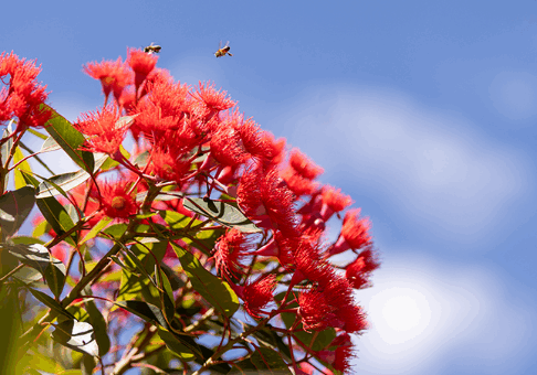 Screenshot 2025-08-29 105618