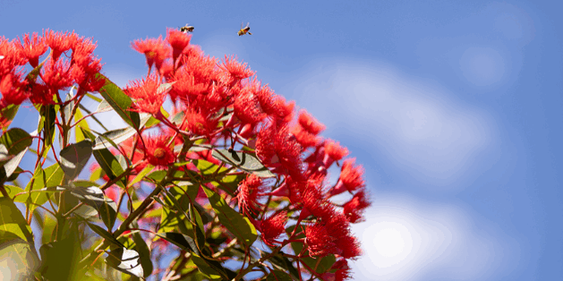 Screenshot 2025-08-29 105618