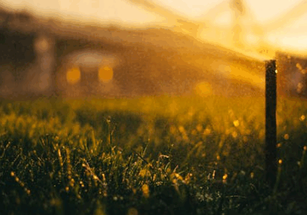 Screenshot 2025-09-04 093756