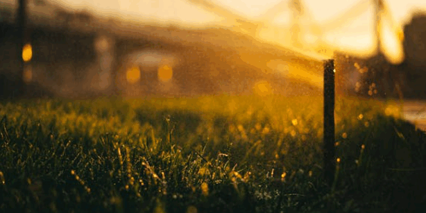 Screenshot 2025-09-04 093756