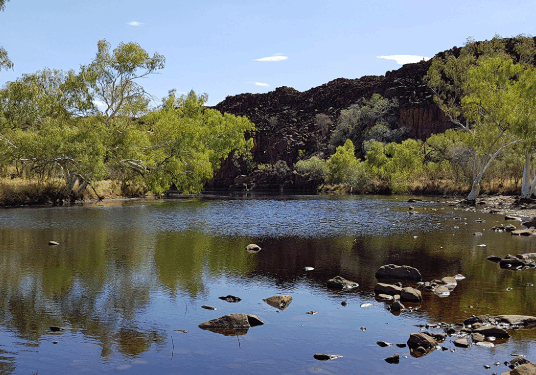 Screenshot 2025-11-05 134621