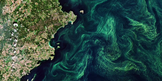 Screenshot 2026-01-27 133902