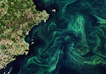 Screenshot 2026-01-27 133902