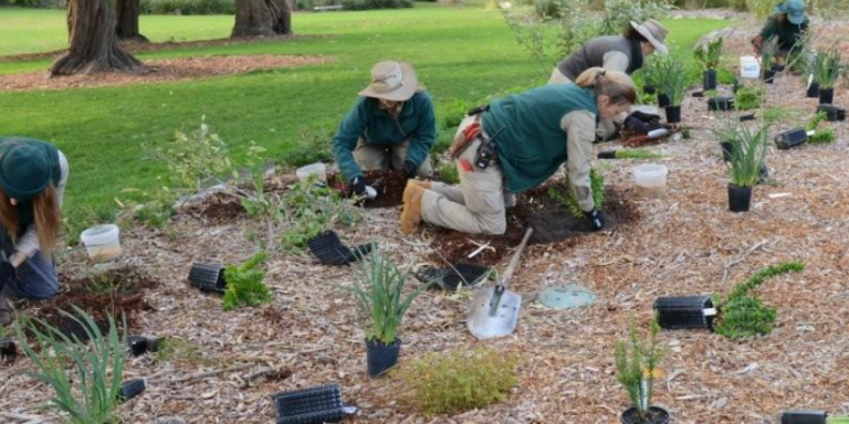 Screenshot 2026-02-16 114953