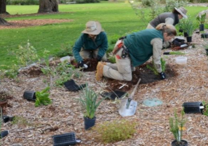 Screenshot 2026-02-16 114953