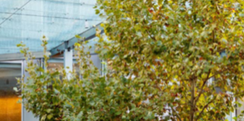 St Georges Tce Upgrade