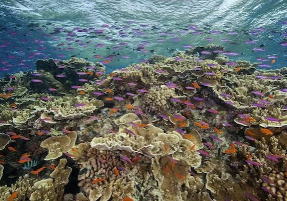 Warm is the new norm