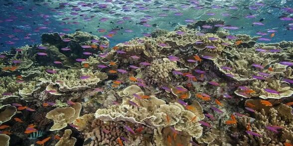 Warm is the new norm