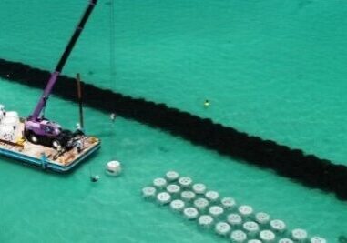 engineered fringing reef