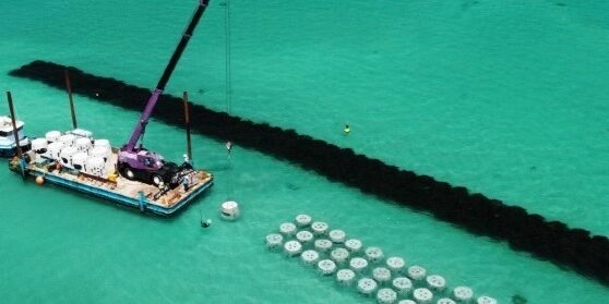 engineered fringing reef