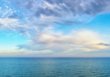 shutterstock_562338241