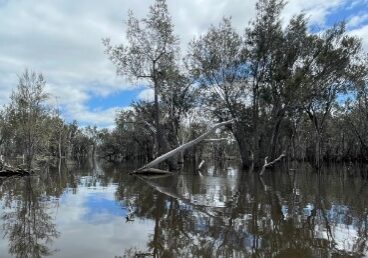 south west nrm protecting