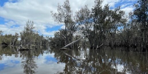 south west nrm protecting