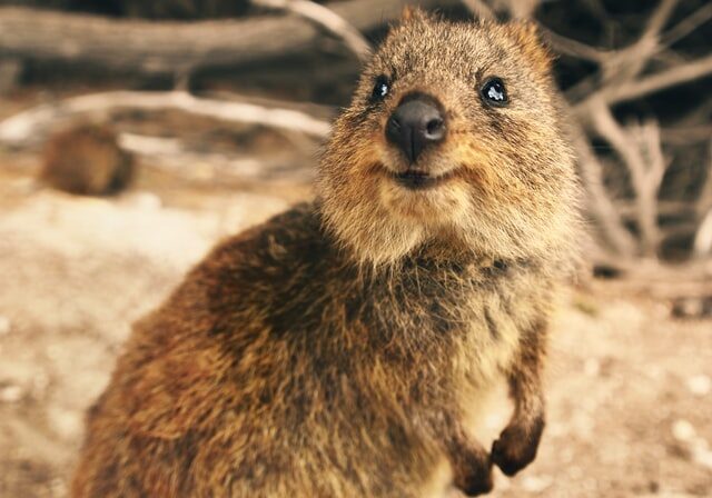 tobias-fischer-IGmYkKKU7W4-unsplash